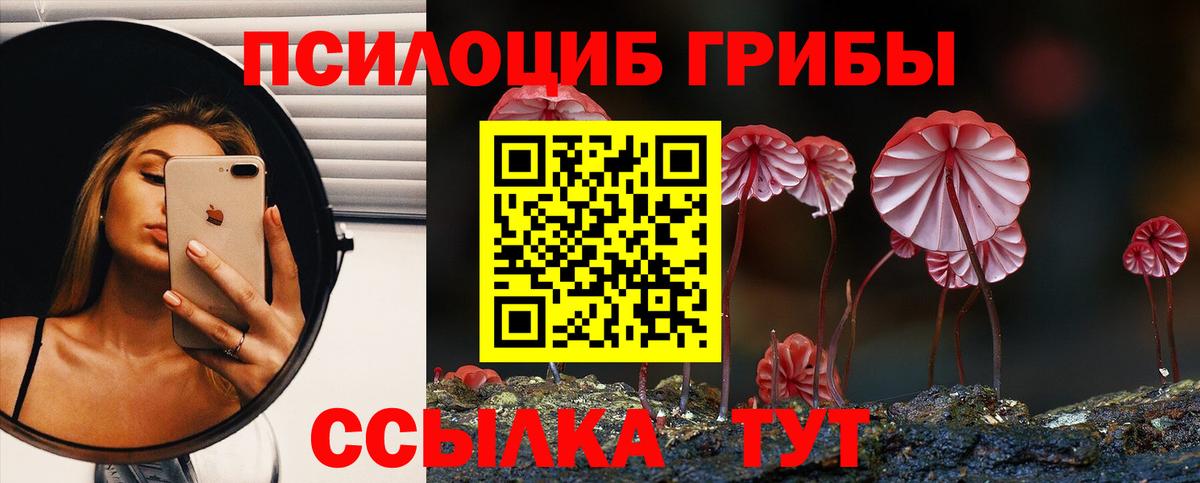 Черногорск  дарнет шоп  Вход с VPN  Псилоцибиновые грибы Magic Shrooms 
